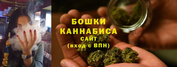 дмт Медногорск