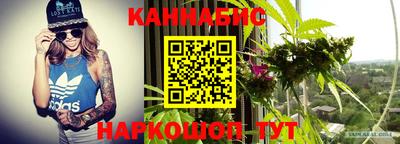 стаф Кулебаки