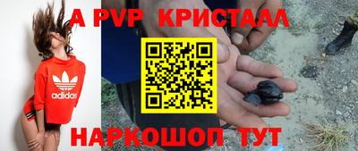стаф Кулебаки