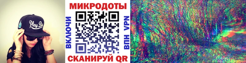 закладки  Арсеньев  Галлюциногенные грибы мухоморы 