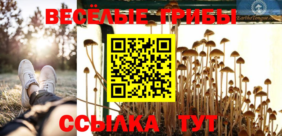 Псилоцибиновые грибы прущие грибы Арсеньев