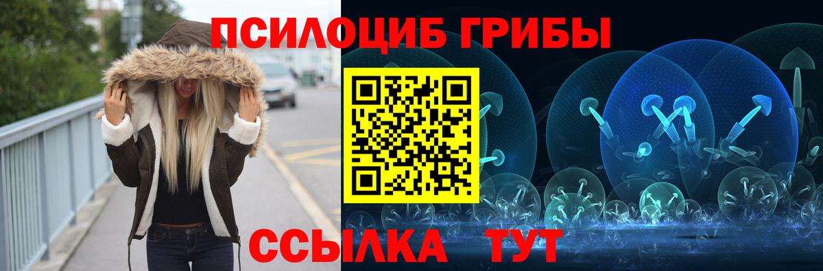 Галлюциногенные грибы Cubensis Арсеньев