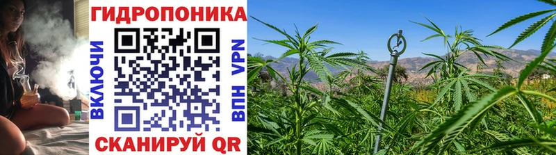 Шишки марихуана марихуана  mega сайт  Арсеньев  где продают  